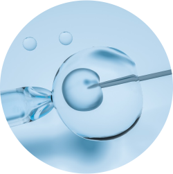 Intracytoplasmic Morphologically selected Sperm Injection